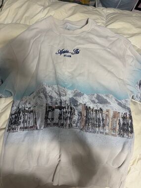 Abercrombie & Fitch Light Pink "Après-Ski Club" Embroidered Sweatshirt